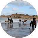 soizig bodin profile picture