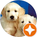 HONEY Twist profile picture